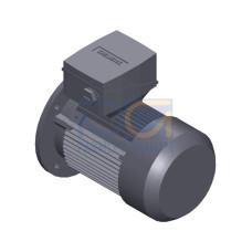 SIMOTICS SD MOTOR TYPE: 1CV3082B Low-voltage motor, IEC Squirrel-cage rotor, self-ventilated, IP55 T
