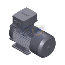 SIMOTICS SD MOTOR TYPE: 1CV3104C Low-voltage motor, IEC Squirrel-cage rotor, self-ventilated, IP55 T