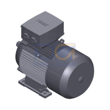 SIMOTICS SD MOTOR TYPE: 1CV3112B Low-voltage motor, IEC Squirrel-cage rotor, self-ventilated, IP55 T