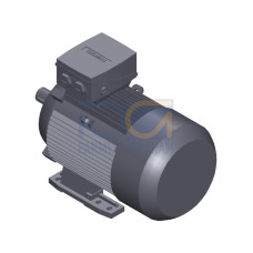 SIMOTICS SD MOTOR TYPE: 1CV3132B Low-voltage motor, IEC Squirrel-cage rotor, self-ventilated, IP55 T