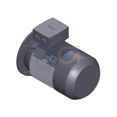 SIMOTICS SD MOTOR TYPE: 1CV3162A Low-voltage motor, IEC Squirrel-cage rotor, self-ventilated, IP55 T