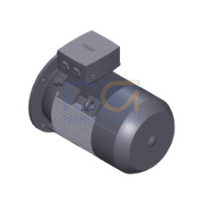 SIMOTICS SD MOTOR TYPE: 1CV3163A Low-voltage motor, IEC Squirrel-cage rotor, self-ventilated, IP55 T