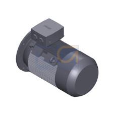 SIMOTICS SD MOTOR TYPE: 1CV3164A Low-voltage motor, IEC Squirrel-cage rotor, self-ventilated, IP55 T