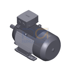 SIMOTICS SD MOTOR TYPE: 1CV3164A Low-voltage motor, IEC Squirrel-cage rotor, self-ventilated, IP55 T
