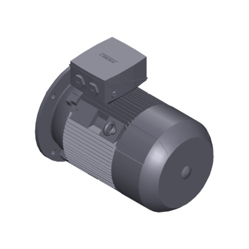 SIMOTICS SD MOTOR TYPE: 1CV3162B Low-voltage motor, IEC Squirrel-cage rotor, self-ventilated, IP55 T