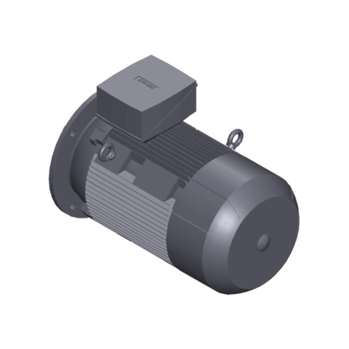 SIMOTICS SD MOTOR TYPE: 1CV3164B Low-voltage motor, IEC Squirrel-cage rotor, self-ventilated, IP55 T