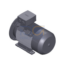 SIMOTICS SD MOTOR TYPE: 1CV3164B Low-voltage motor, IEC Squirrel-cage rotor, self-ventilated, IP55 T