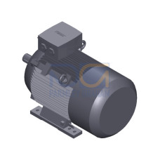 SIMOTICS SD MOTOR TYPE: 1CV3182A Low-voltage motor, IEC Squirrel-cage rotor, self-ventilated, IP55 T