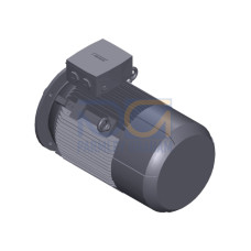 SIMOTICS SD MOTOR TYPE: 1CV3184B Low-voltage motor, IEC Squirrel-cage rotor, self-ventilated, IP55 T
