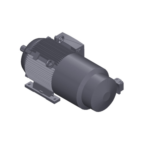 SIMOTICS SD MOTOR TYPE: 1CV3205B Low-voltage motor, IEC Squirrel-cage rotor, self-ventilated, IP55 T