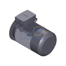 SIMOTICS SD MOTOR TYPE: 1CV3205B Low-voltage motor, IEC Squirrel-cage rotor, self-ventilated, IP55 T