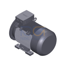 SIMOTICS SD MOTOR TYPE: 1CV3222A Low-voltage motor, IEC Squirrel-cage rotor, self-ventilated, IP55 T