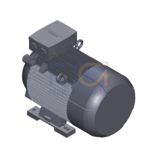 SIMOTICS SD MOTOR TYPE: 1CV3222A Low-voltage motor, IEC Squirrel-cage rotor, self-ventilated, IP55 T