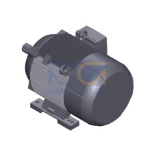 SIMOTICS SD MOTOR TYPE: 1CV3220B Low-voltage motor, IEC Squirrel-cage rotor, self-ventilated, IP55 T