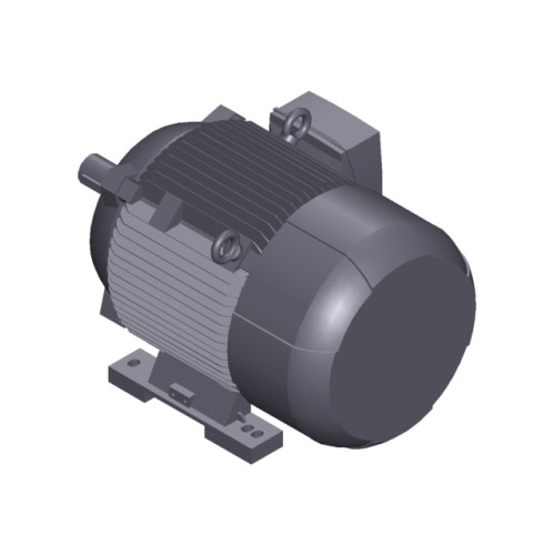 SIMOTICS SD MOTOR TYPE: 1CV3220B Low-voltage motor, IEC Squirrel-cage rotor, self-ventilated, IP55 T