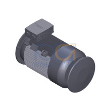 SIMOTICS SD MOTOR TYPE: 1CV3222B Low-voltage motor, IEC Squirrel-cage rotor, self-ventilated, IP55 T