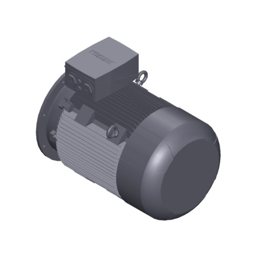 SIMOTICS SD MOTOR TYPE: 1CV3280B Low-voltage motor, IEC Squirrel-cage rotor, self-ventilated, IP55 T