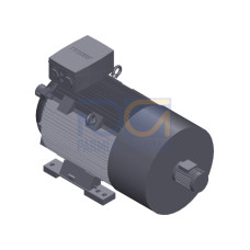 SIMOTICS SD MOTOR TYPE: 1CV3282B Low-voltage motor, IEC Squirrel-cage rotor, self-ventilated, IP55 T