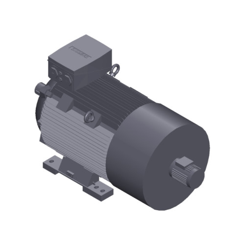 SIMOTICS SD MOTOR TYPE: 1CV3282B Low-voltage motor, IEC Squirrel-cage rotor, self-ventilated, IP55 T