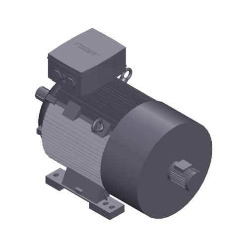 SIMOTICS SD MOTOR TYPE: 1CV3310B Low-voltage motor, IEC Squirrel-cage rotor, self-ventilated, IP55 T