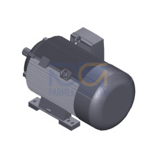 SIMOTICS SD MOTOR TYPE: 1CV3312B Low-voltage motor, IEC Squirrel-cage rotor, self-ventilated, IP55 T