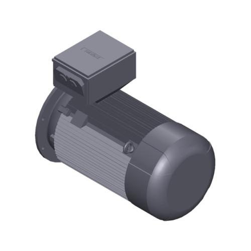 SIMOTICS SD MOTOR TYPE: 1CV3314B Low-voltage motor, IEC Squirrel-cage rotor, self-ventilated, IP55 T