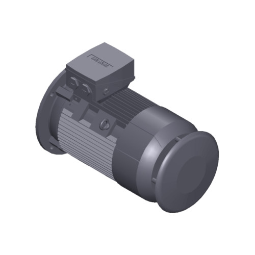 SIMOTICS SD MOTOR TYPE: 1CV3132B Low-voltage motor, IEC Squirrel-cage rotor, self-ventilated, IP55 T