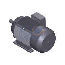 SIMOTICS SD MOTOR TYPE: 1CV3164C Low-voltage motor, IEC Squirrel-cage rotor, self-ventilated, IP55 T