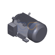 SIMOTICS SD MOTOR TYPE: 1CV3282B Low-voltage motor, IEC Squirrel-cage rotor, self-ventilated, IP55 T