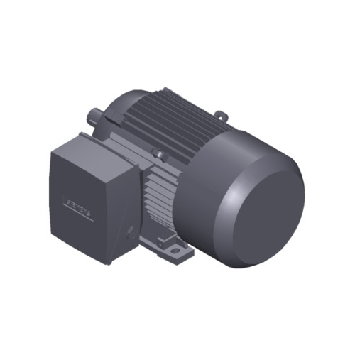 SIMOTICS SD MOTOR TYPE: 1CV2104A Low-voltage motor, IEC Squirrel-cage rotor, self-ventilated, IP55 T