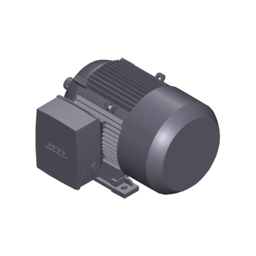 SIMOTICS SD MOTOR TYPE: 1CV2112A Low-voltage motor, IEC Squirrel-cage rotor, self-ventilated, IP55 T