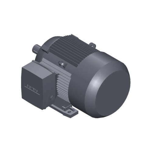SIMOTICS SD MOTOR TYPE: 1CV2131A Low-voltage motor, IEC Squirrel-cage rotor, self-ventilated, IP55 T