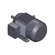 SIMOTICS SD MOTOR TYPE: 1CV2162A Low-voltage motor, IEC Squirrel-cage rotor, self-ventilated, IP55 T