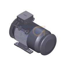 SIMOTICS SD MOTOR TYPE: 1CV2182A Low-voltage motor, IEC Squirrel-cage rotor, self-ventilated, IP55 T