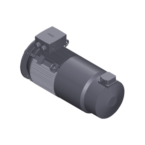 SIMOTICS SD MOTOR TYPE: 1CV2182B Low-voltage motor, IEC Squirrel-cage rotor, self-ventilated, IP55 T