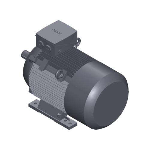 SIMOTICS SD MOTOR TYPE: 1CV2184B Low-voltage motor, IEC Squirrel-cage rotor, self-ventilated, IP55 T