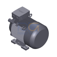 SIMOTICS SD MOTOR TYPE: 1CV2220B Low-voltage motor, IEC Squirrel-cage rotor, self-ventilated, IP55 T