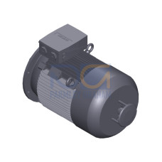 SIMOTICS SD MOTOR TYPE: 1CV2220B Low-voltage motor, IEC Squirrel-cage rotor, self-ventilated, IP55 T