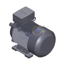 SIMOTICS SD MOTOR TYPE: 1CV2252B Low-voltage motor, IEC Squirrel-cage rotor, self-ventilated, IP55 T