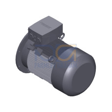 SIMOTICS SD MOTOR TYPE: 1CV2252B Low-voltage motor, IEC Squirrel-cage rotor, self-ventilated, IP55 T