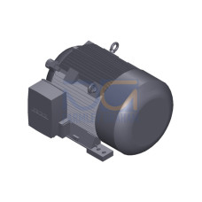 SIMOTICS SD MOTOR TYPE: 1CV2282A Low-voltage motor, IEC Squirrel-cage rotor, self-ventilated, IP55 T