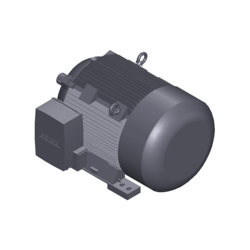 SIMOTICS SD MOTOR TYPE: 1CV2282A Low-voltage motor, IEC Squirrel-cage rotor, self-ventilated, IP55 T