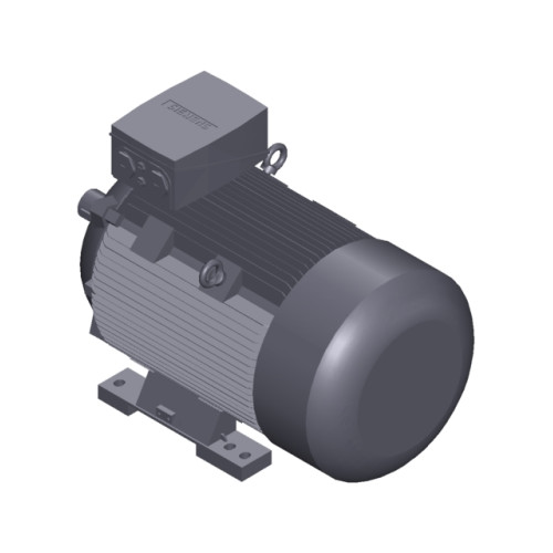 SIMOTICS SD MOTOR TYPE: 1CV2286B Low-voltage motor, IEC Squirrel-cage rotor, self-ventilated, IP55 T