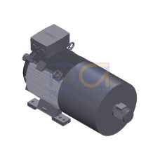 SIMOTICS SD MOTOR TYPE: 1CV2282D Low-voltage motor, IEC Squirrel-cage rotor, self-ventilated, IP55 T