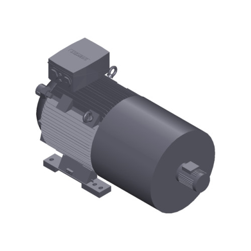 SIMOTICS SD MOTOR TYPE: 1CV2282D Low-voltage motor, IEC Squirrel-cage rotor, self-ventilated, IP55 T