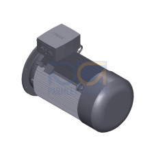 SIMOTICS SD MOTOR TYPE: 1CV2312B Low-voltage motor, IEC Squirrel-cage rotor, self-ventilated, IP55 T