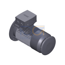 SIMOTICS SD MOTOR TYPE: 1CV3104C Low-voltage motor, IEC Squirrel-cage rotor, self-ventilated, IP55 T