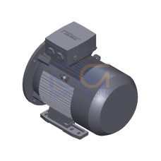 SIMOTICS SD MOTOR TYPE: 1CV3130A Low-voltage motor, IEC Squirrel-cage rotor, self-ventilated, IP55 T