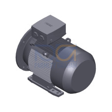 SIMOTICS SD MOTOR TYPE: 1CV3162A Low-voltage motor, IEC Squirrel-cage rotor, self-ventilated, IP55 T