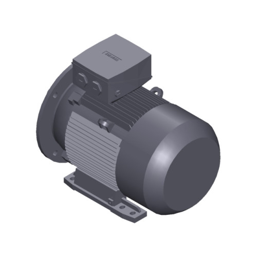 SIMOTICS SD MOTOR TYPE: 1CV3162A Low-voltage motor, IEC Squirrel-cage rotor, self-ventilated, IP55 T